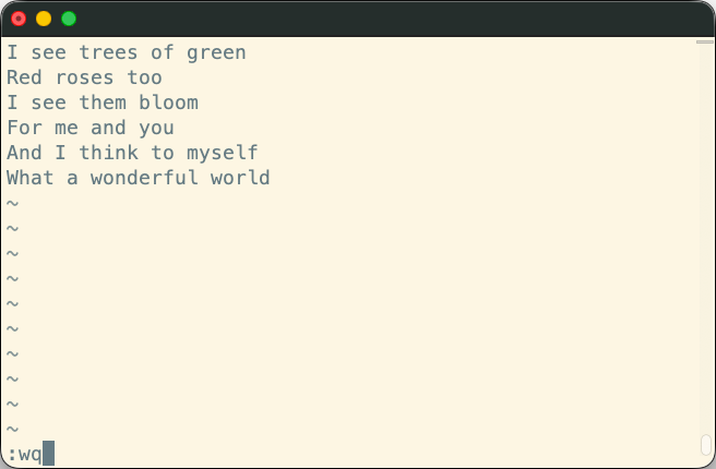 Typing the :wq command in Vim