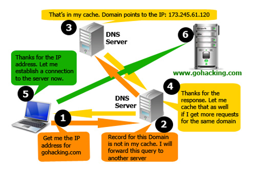 Domain Name System