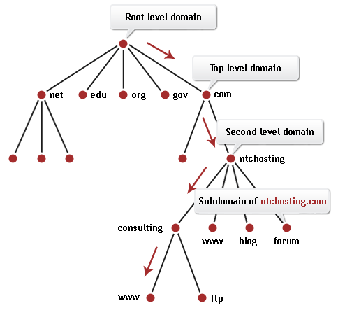 Domain Name System