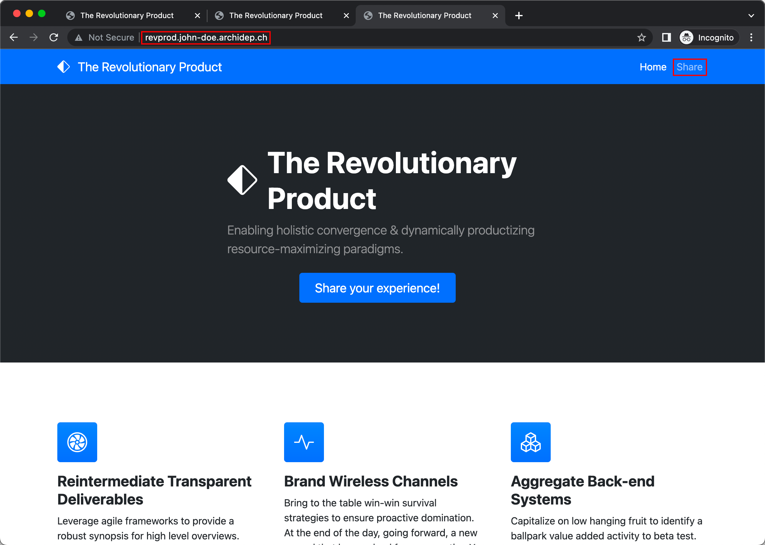 From the Revprod landing page to the backend with nginx
