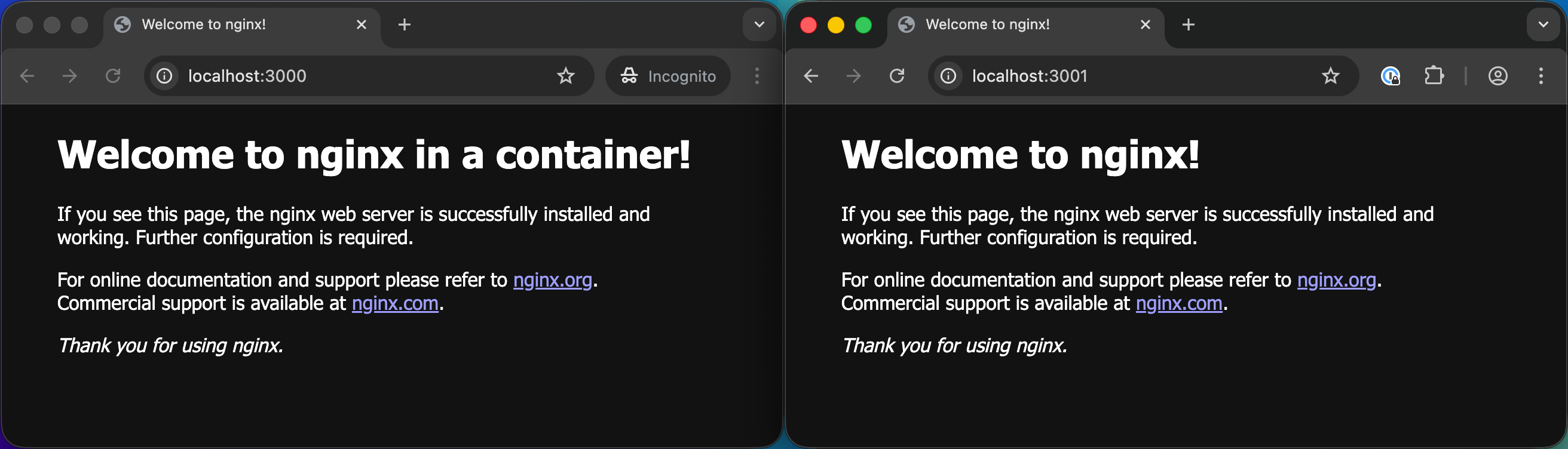 Docker nginx two containers