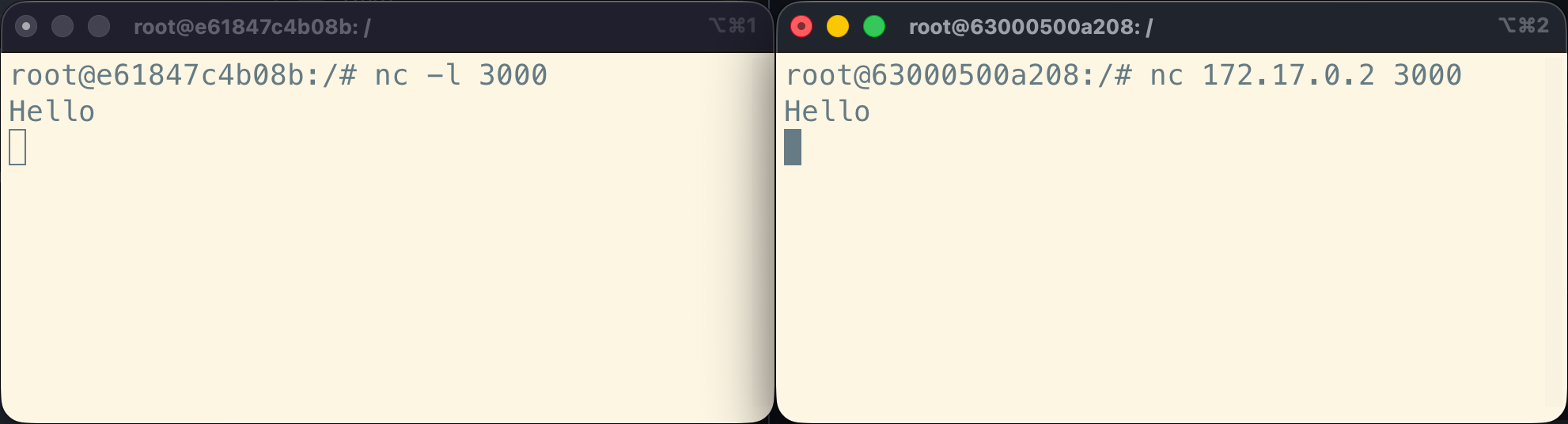 Netcat client: press enter