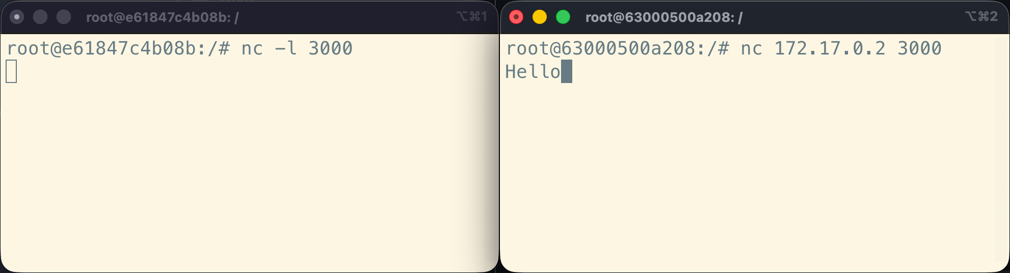Netcat client: type hello