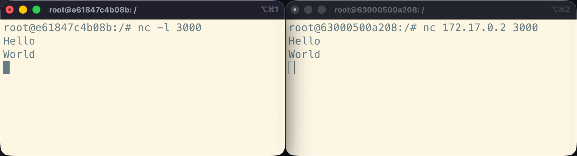 Netcat server: press enter