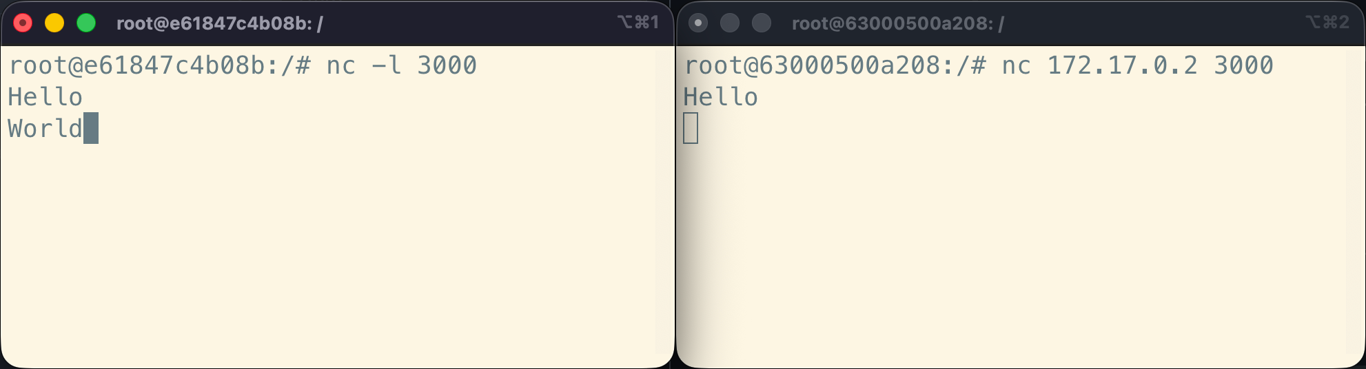 Netcat server: type world